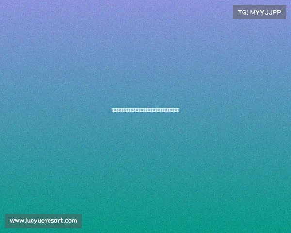 德甲转会动态：夏季市场引人关注的新签约与潜力球员流动分析